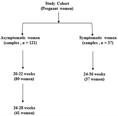 <mark class="highlighted">Spontaneous Preterm Birth</mark> Is Associated with Differential Expression of Vaginal Metabolites by Lactobacilli-Dominated Microflora